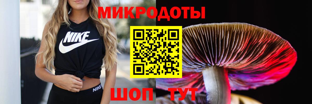 Галлюциногенные грибы Cubensis  Вход с VPN  Галлюциногенные грибы GOLDEN TEACHER  Знаменск 
